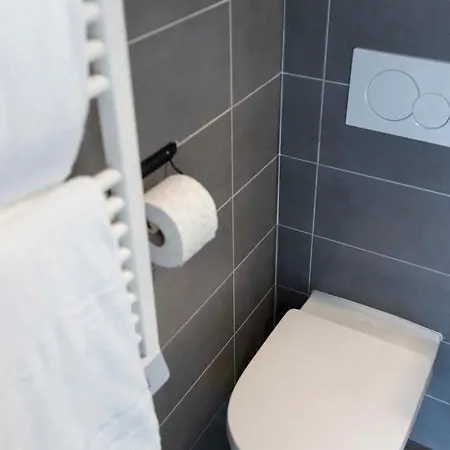 Moderne Et Confort Au Centre メス